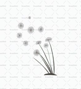 Löwenzahnsamen im Wind